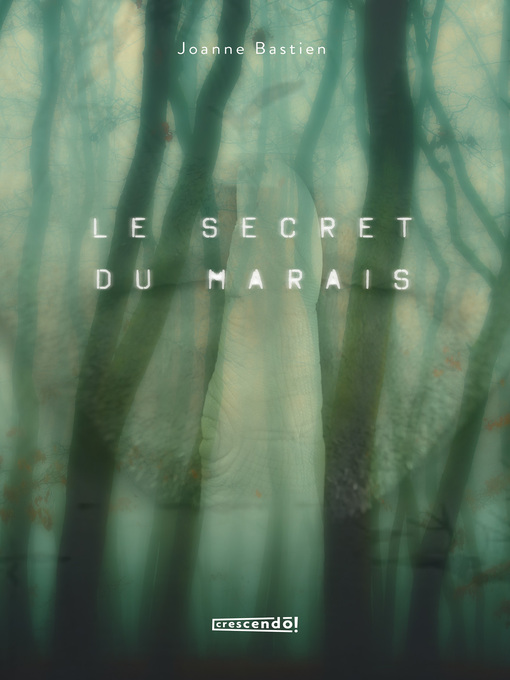 Cover image for Le secret du marais